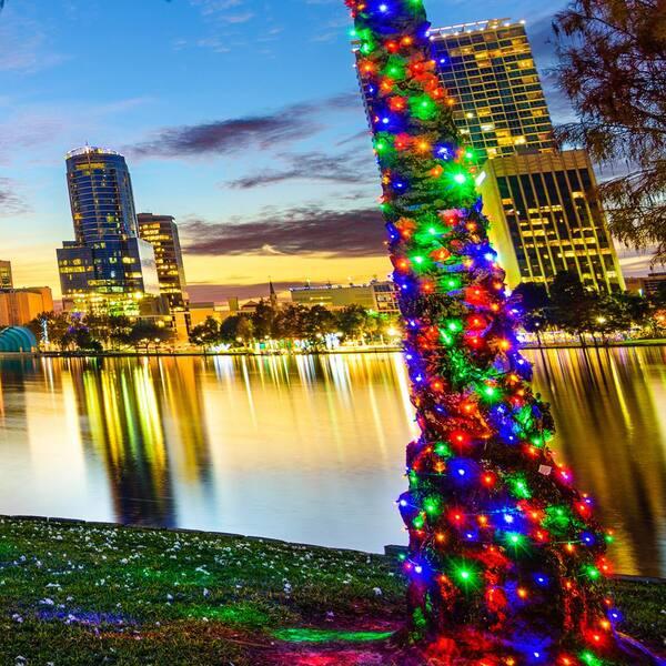 Wintergreen Lighting 24.5 Ft. 50-Count LED Multi-Color Wide Angle Christmas Mini Light Set