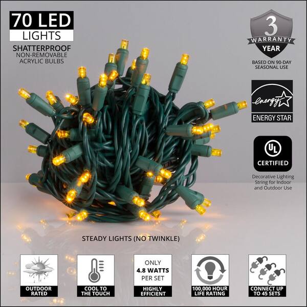 Wintergreen Lighting 24 Ft. 70-Light Gold 5 Mm LED Mini Light Set