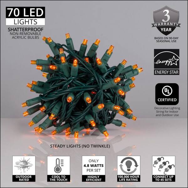 Wintergreen Lighting 24 Ft. 70-Light Orange 5 Mm LED Mini Light Set