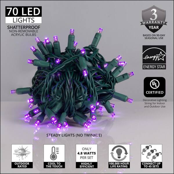 Wintergreen Lighting 24 Ft. 70-Light Purple 5 Mm LED Mini Light Set