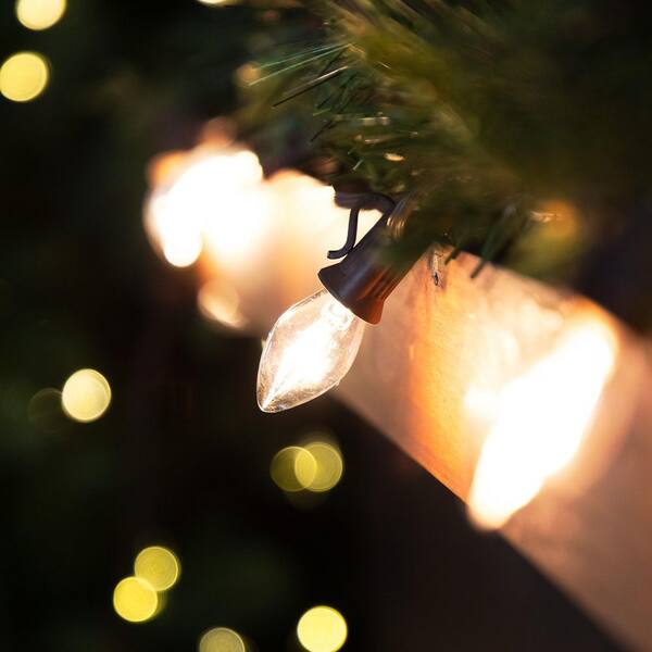 Northlight 25 Count Clear C7 Christmas Lights 24 Ft. Brown Wire