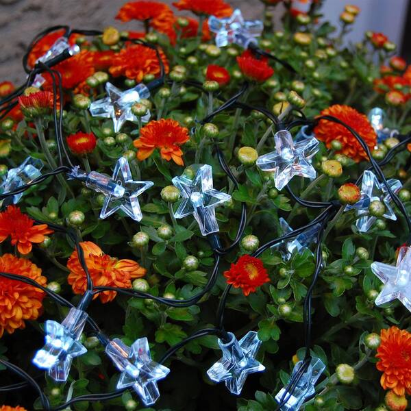 LUMABASE 30-Light 13 Ft. White Stars Solar String Light