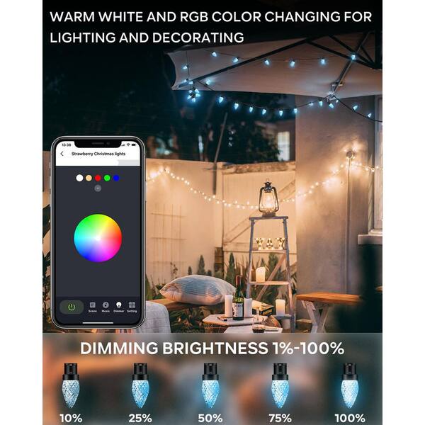 AVATAR CONTROLS 33 Ft. Smart String Lights Extendable C9 DIY Color Changing APP Remote Controlled Music Timer 50 LED