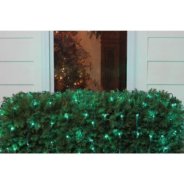 Northlight 4 Ft. X 6 Ft. Green LED Net Style Christmas Lights With Green Wire