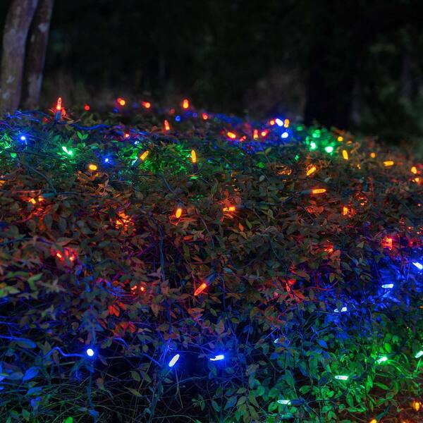 Wintergreen Lighting 48 In. X 72 In. 100-Light M5 LED Multi-Color Net Light Set