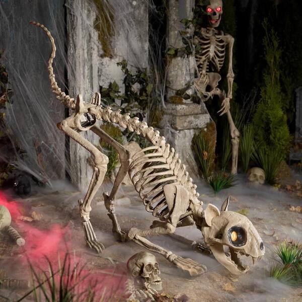 Home Accents Holiday 5 Ft. Long Grave & Bones LED Skelly's Cat H21