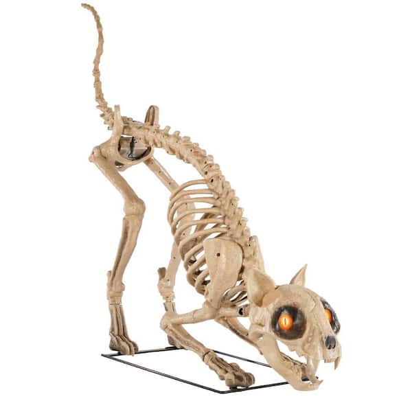 Home Accents Holiday 5 ft. Long Grave & Bones LED Skelly's Cat H21