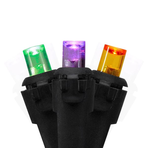 Northlight 50-Count Purple Green and Orange LED Christmas Lights 16 ft. Black Wire