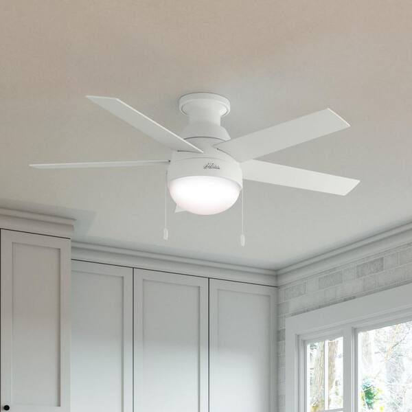 Hunter Anslee 46 In. Fresh White Low Profile Indoor Ceiling Fan With LED Light Kit And Pull Chain