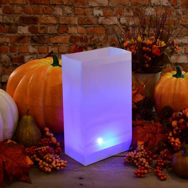 LUMABASE Battery Operated Luminaria Kit With Timer - Color Changing (6-Count)