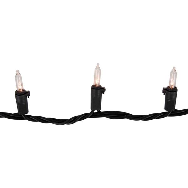 Northlight Set Of 100 Clear Mini Christmas Lights 2.5 In. Spacing With Black Wire