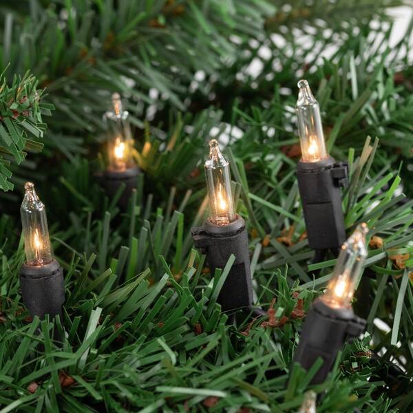 Northlight Set Of 100 Clear Mini Christmas Lights 2.5 In. Spacing With Black Wire