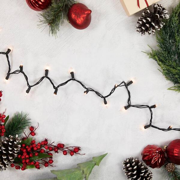 Northlight Set Of 100 Clear Mini Christmas Lights 2.5 In. Spacing With Black Wire