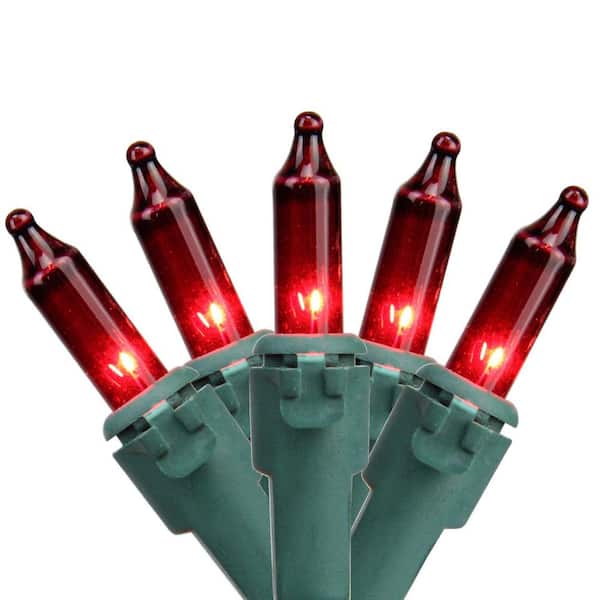 Northlight Set of 100 Red Mini Christmas Lights 2.5 in. Spacing with Green Wire