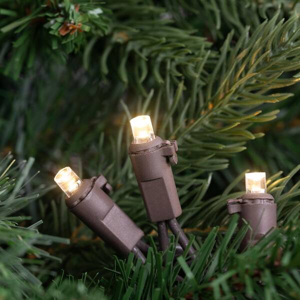 Northlight Set Of 100 Warm White Wide Angle LED Mini Christmas Lights With Brown Wire