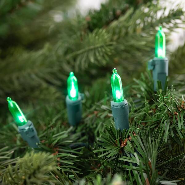 Northlight Set Of 50 Green LED Mini Christmas Lights With Green Wire