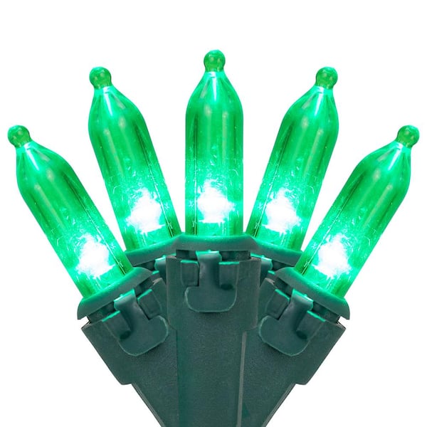 Northlight Set of 50 Green LED Mini Christmas Lights with Green Wire