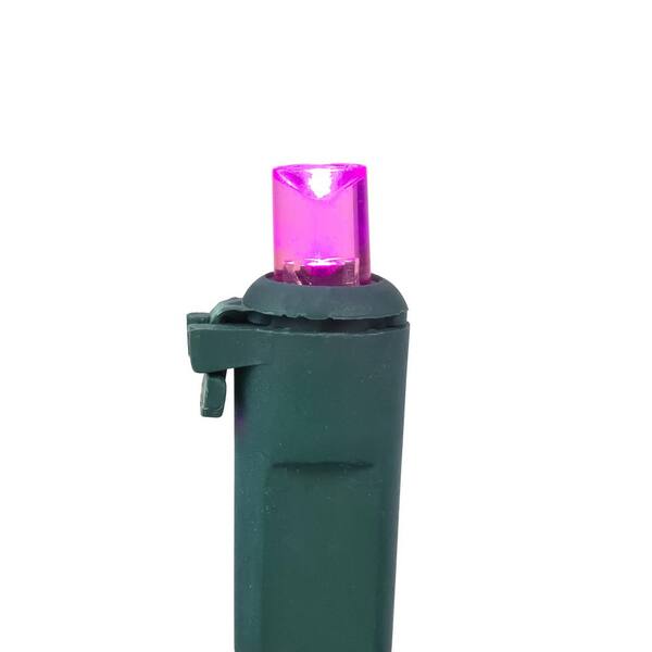 Northlight Set Of 50 Pink LED Wide Angle Christmas Lights - Green Wire