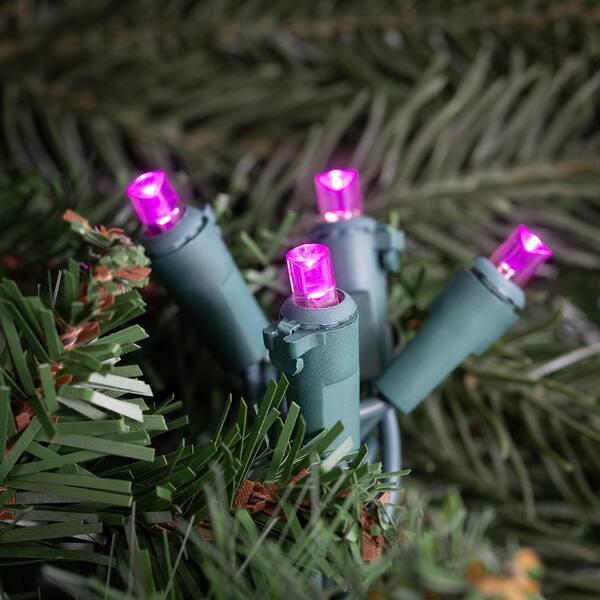 Northlight Set Of 50 Pink LED Wide Angle Christmas Lights - Green Wire