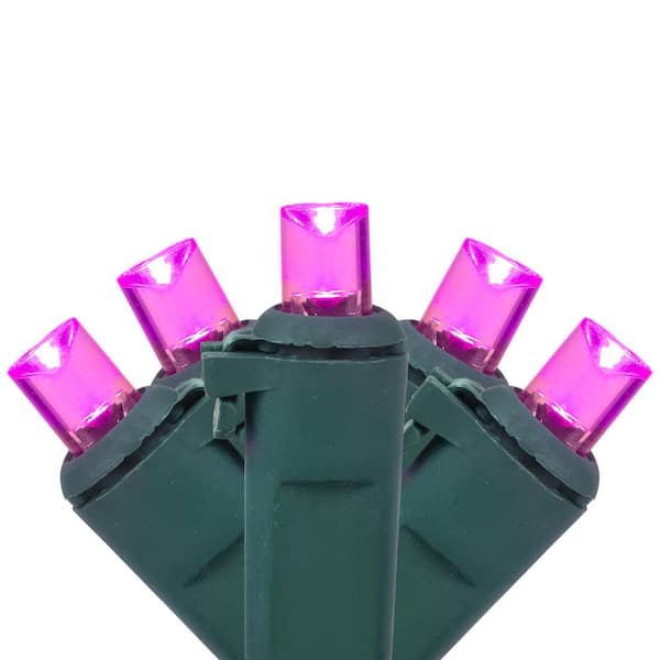 Northlight Set of 50 Pink LED Wide Angle Christmas Lights - Green Wire