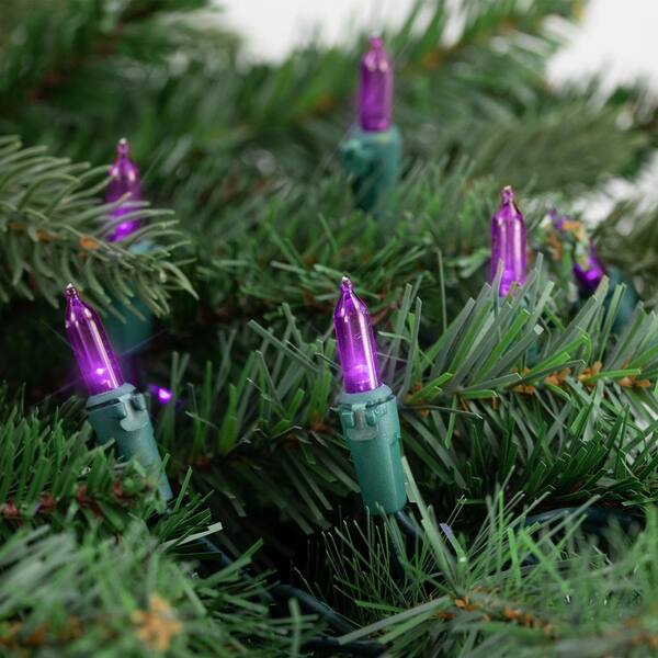 Northlight Set Of 50 Purple LED Mini Christmas Lights With Green Wire