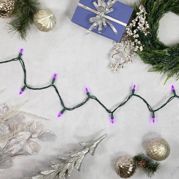 Northlight Set Of 50 Purple LED Mini Christmas Lights With Green Wire