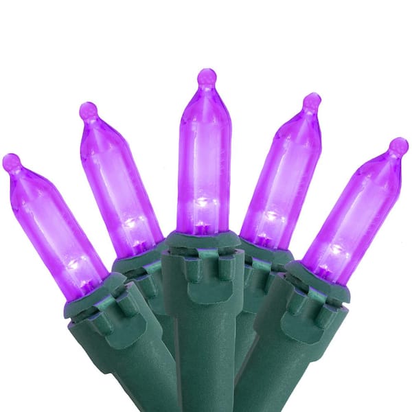 Northlight Set of 50 Purple LED Mini Christmas Lights with Green Wire