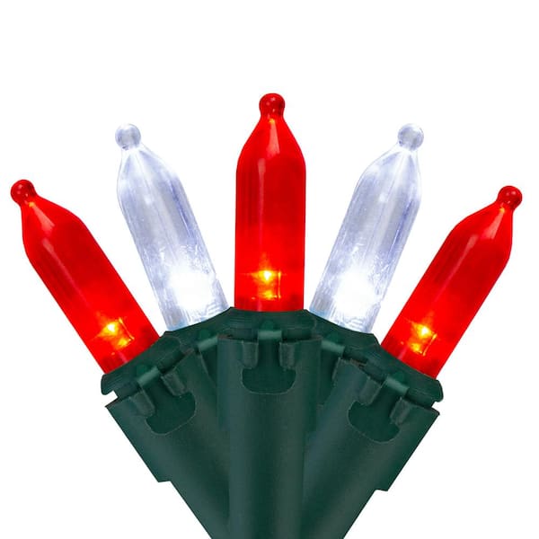 Northlight Set of 50 Red and Pure White LED Mini Christmas Lights with Green Wire