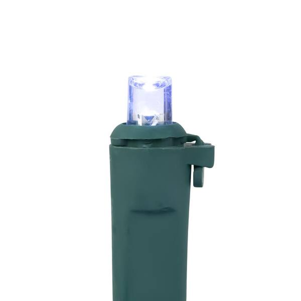 Northlight Set Of 50 Red And White LED Wide Angle Christmas Lights - Green Wire