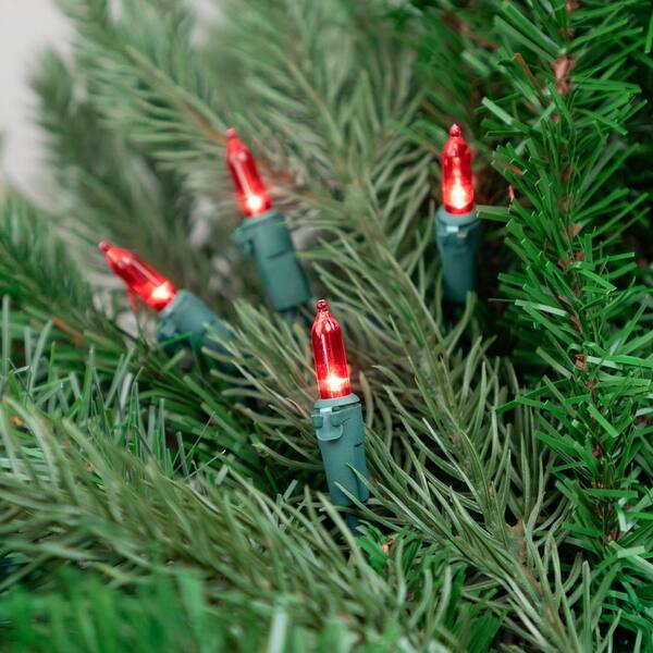 Northlight Set Of 50 Red LED Mini Christmas Lights With Green Wire