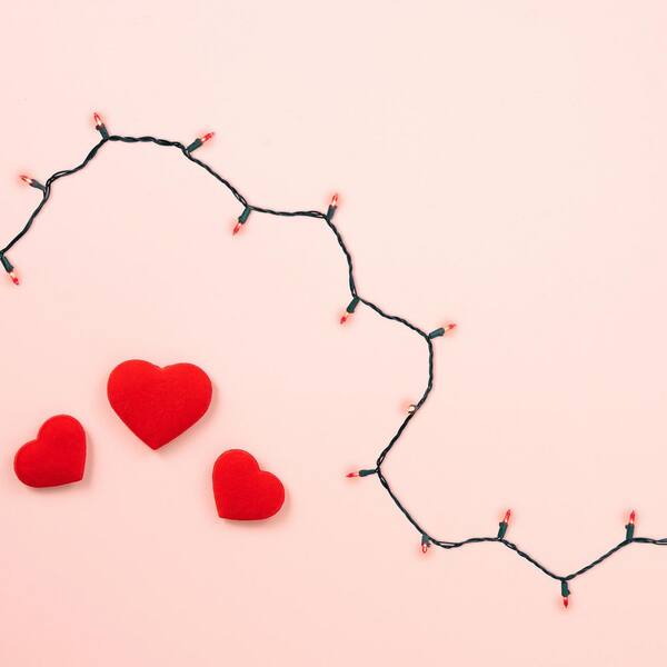 Northlight Set Of 50 Red LED Mini Christmas Lights With Green Wire