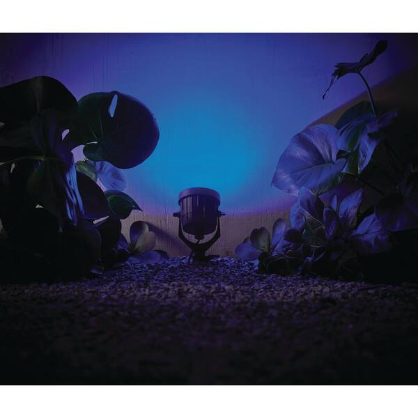 Hampton Bay Smart 650 Lumen Low Voltage Black Integrated LED RGB Color Changing Landscape Flood Light Powered By Hubspace