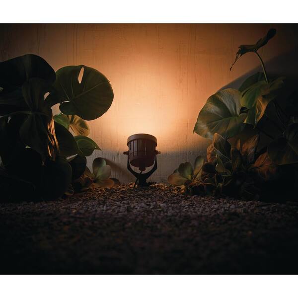 Hampton Bay Smart 650 Lumen Low Voltage Black Integrated LED RGB Color Changing Landscape Flood Light Powered By Hubspace