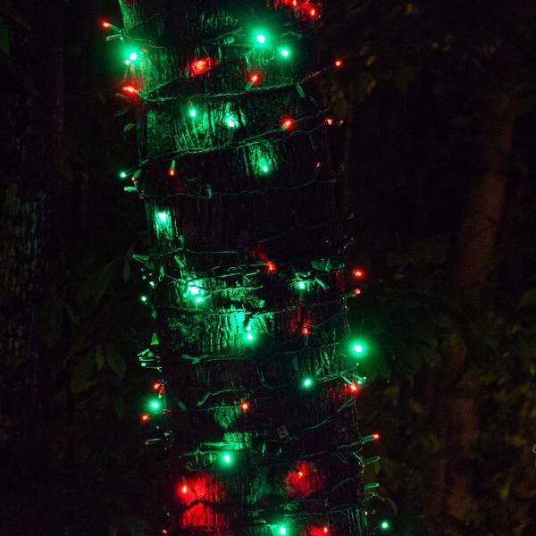 Wintergreen Lighting SoftTwinkle 16 Ft. 50-Count Pulsing LED Wide Angle Red And Green Christmas Mini Light Set