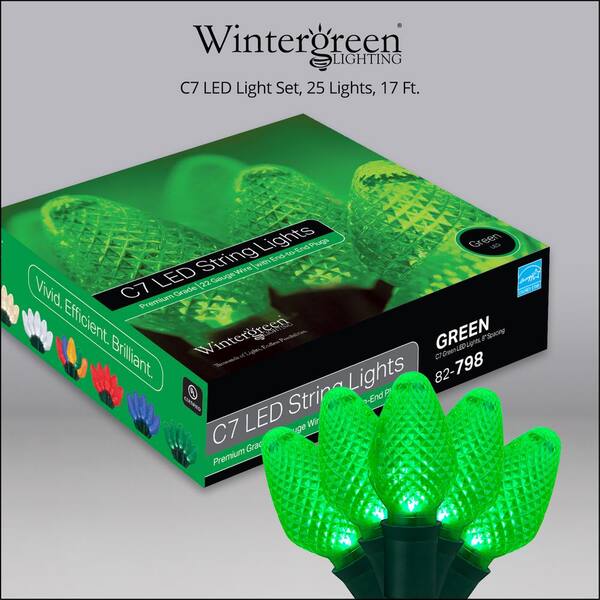 Wintergreen Lighting SuperBright 16 Ft. 25-Light LED Green C7 String Light Set
