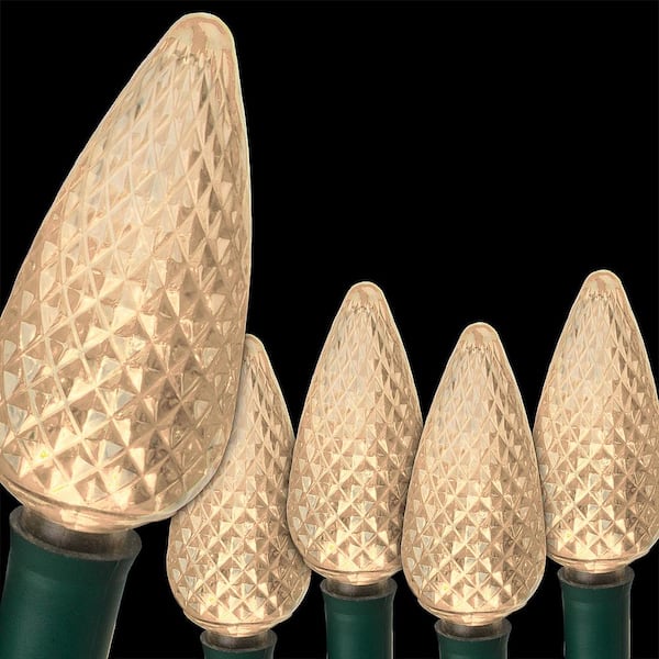 Wintergreen Lighting SuperBright 16 ft. 25-Light LED Warm White C9 String Light Set