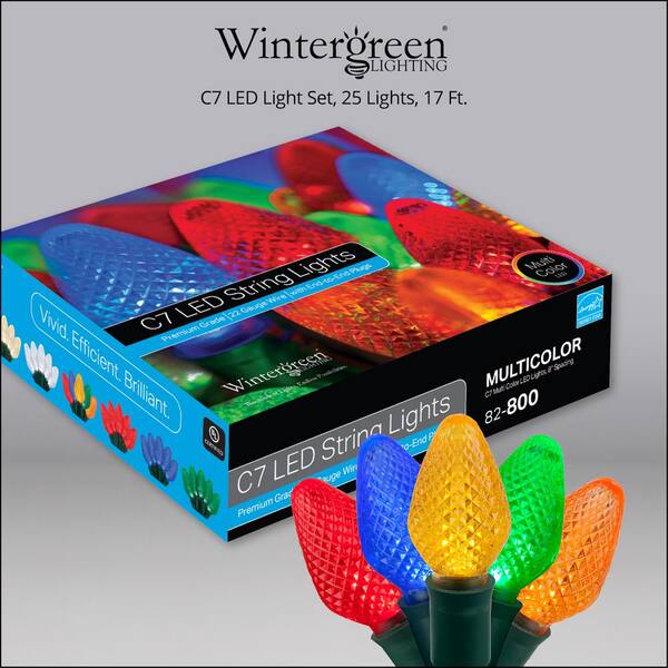Wintergreen Lighting SuperBright 16 Ft. 25-Light Multi-Color C7 String LED Light Set