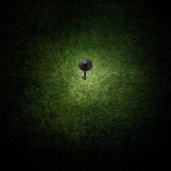 Hampton Bay Vernon Park 120 Lumen Low Voltage Black Integrated LED Aluminum Outdoor Path Light Powered By Hubspace (1-Pack)