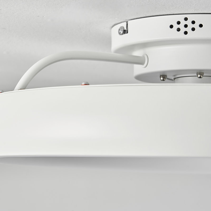 Wayfair 20'' Dianeshia Flush Mount Dimmable Ceiling Fan With LED Lights