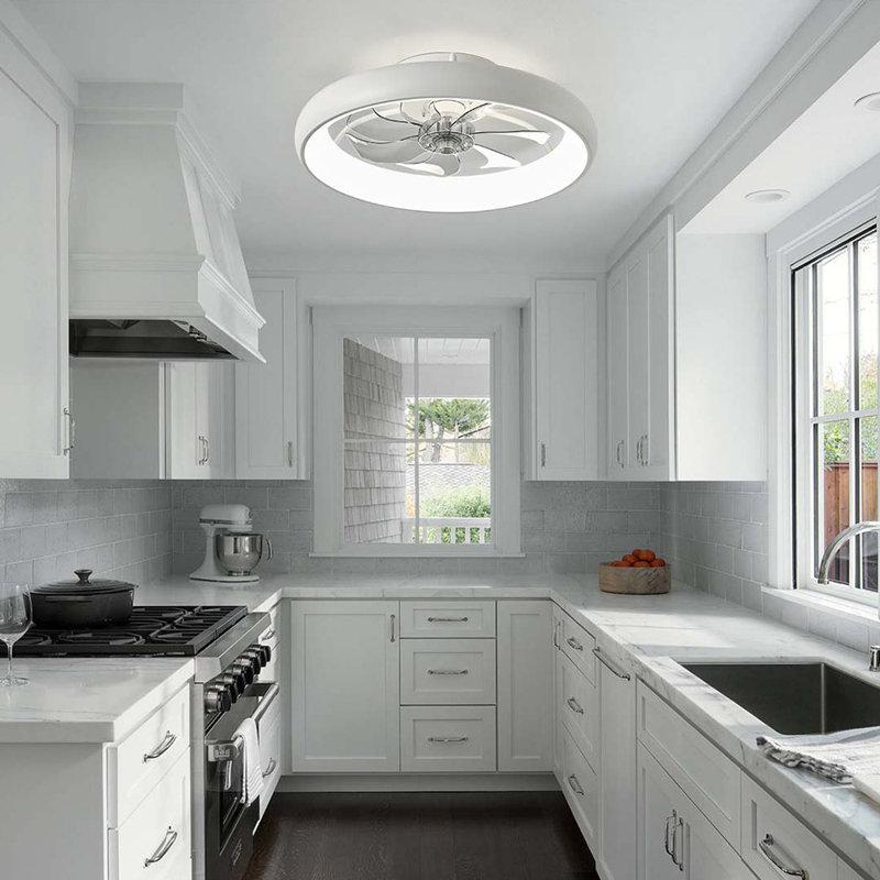 Wayfair 20'' Dianeshia Flush Mount Dimmable Ceiling Fan With LED Lights