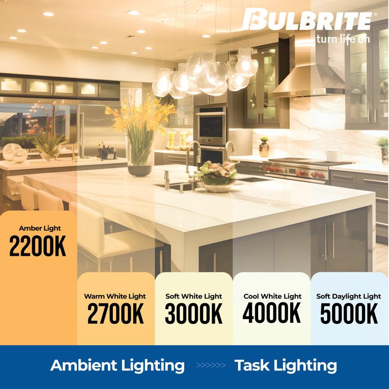 Wayfair 25 Watt Equivalent A19 Incandescent Antique Dimmable Light Bulb E26/Medium (Standard) Base (Set Of 4) 861373