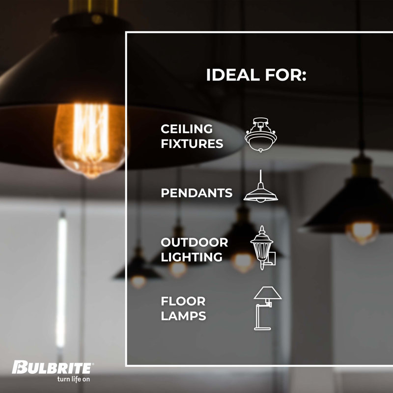 Wayfair 25 Watt Equivalent A19 Incandescent Antique Dimmable Light Bulb E26/Medium (Standard) Base (Set Of 4) 861373