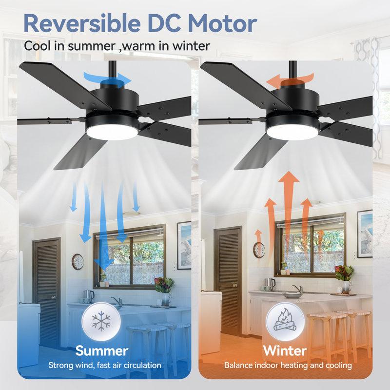 Wayfair 48Inch Black Ceiling Fans With Lights And Remote 48 Inch Ceiling Fan With Adjustable Color Temperature 6-Speeds Noiseless Revisible Dc Motor For Bedroom Kitchen Living Room
