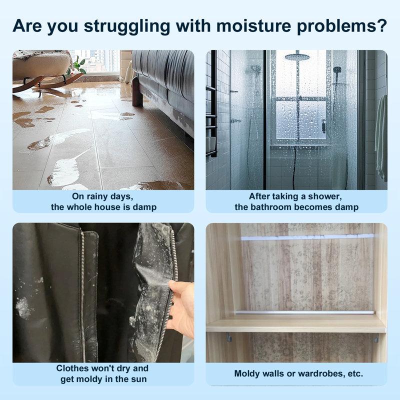 Wayfair 55 Pint Portable Dehumidifier With Drain Hose For Basements 5 200 Sq. Ft. Dehumidifiers Auto Drain Or Manual Drainage Quiet Dehumidifier For Home With 6L Water Tank