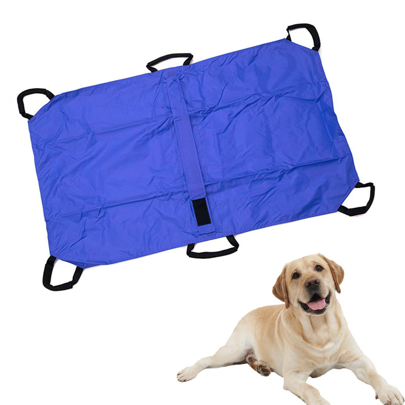 Wayfair 6 Handles Large Pet Transport Carrier Stretcher Pet Dog Transport Tool