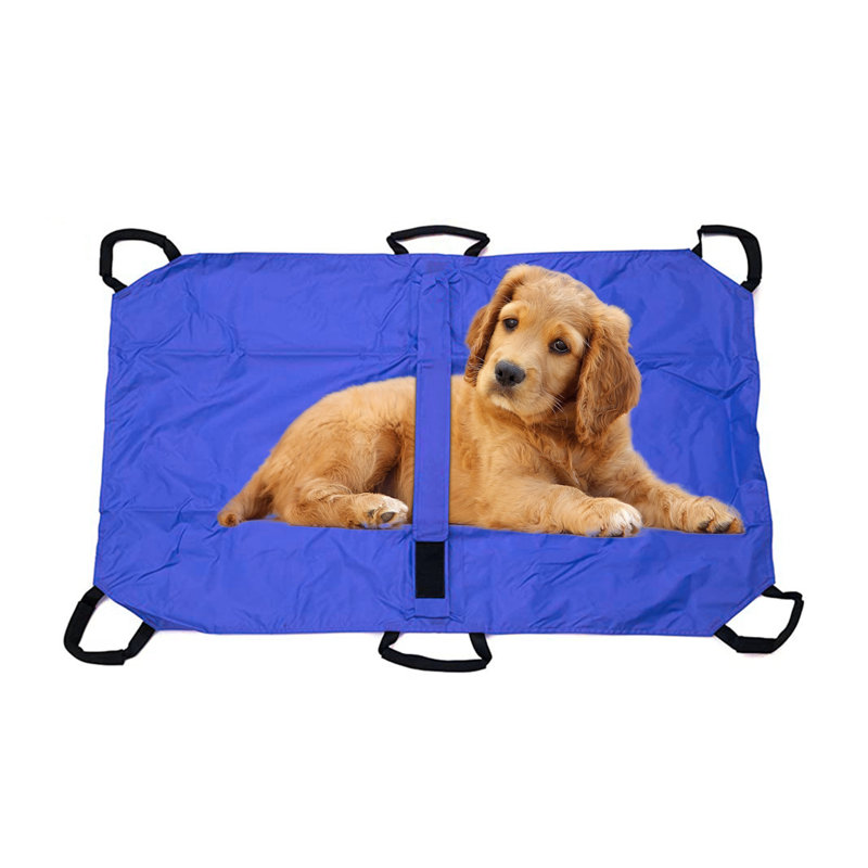 Wayfair 6 Handles Large Pet Transport Carrier Stretcher Pet Dog Transport Tool