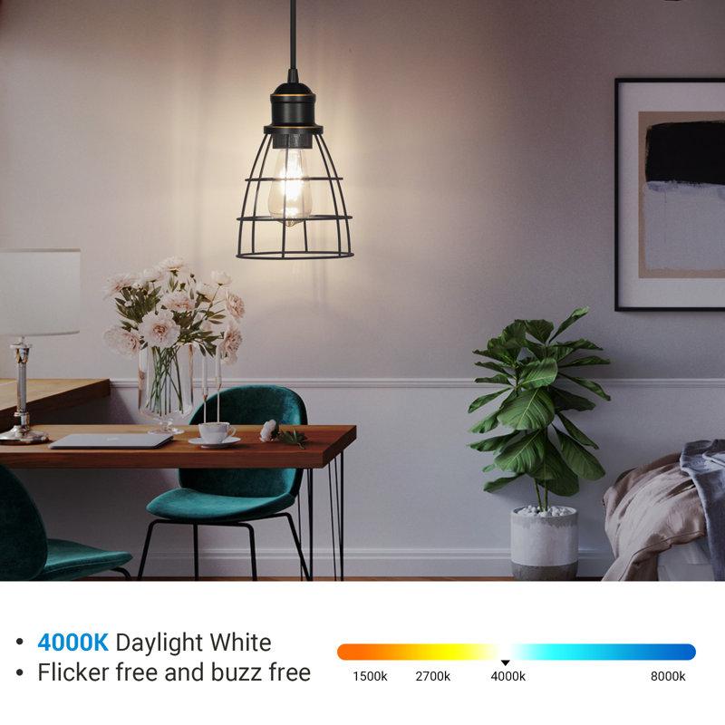 Wayfair 60 Watt Equivalent ST19 E26/Medium (Standard) LED Bulb (Set Of 4) HNST19B1