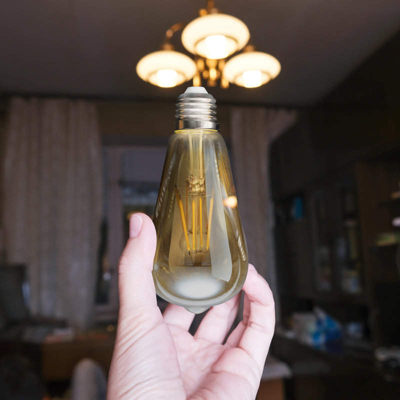 Wayfair 60 Watt Equivalent ST64 E26/Medium (Standard) Dimmable 2700K LED Bulb ST64LED-6