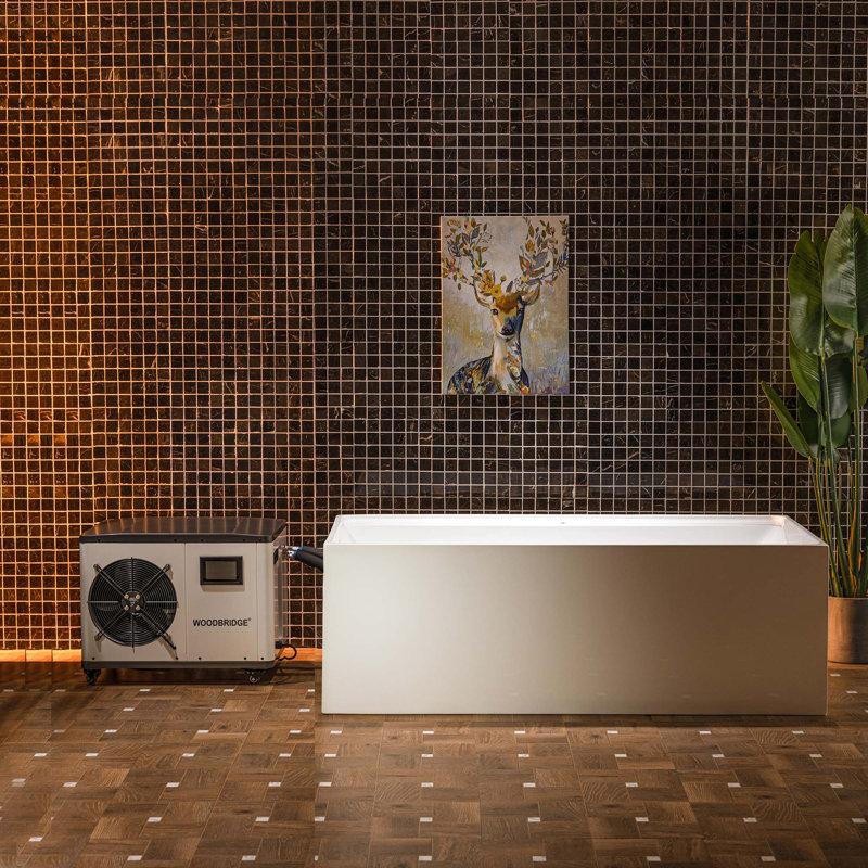 Wayfair 67" L X 31-1/2" W Freestanding Acrylic Cold Plunge Ice Tub With 1.3 HP High-Performance Chiller For Cooling/Heating Ozone Sanitation Filter Circulation System Insulated Tub Cover