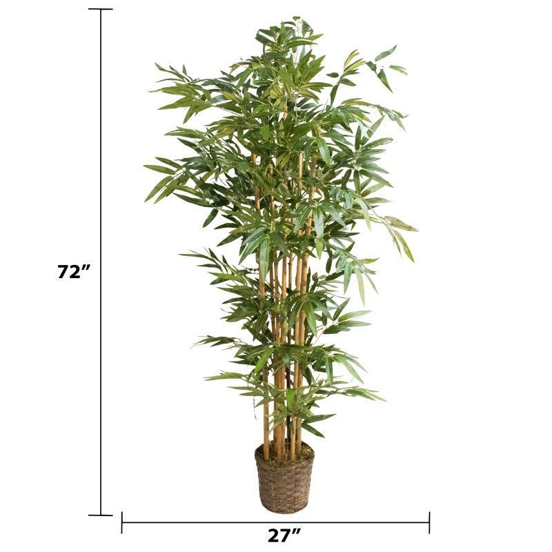 Wayfair 72" Tall High End Realistic Silk Bamboo Tree In Basket